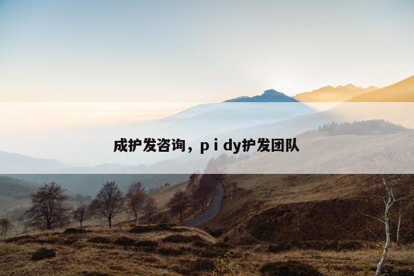 成护发咨询,pⅰdy护发团队 成护发咨询,pⅰdy护发团队