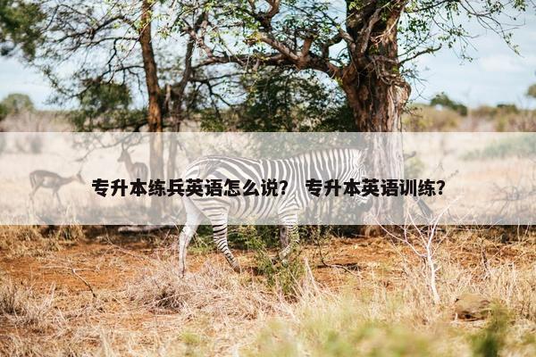 专升本练兵英语怎么说? 专升本英语训练? 专升本练兵英语怎么说? 专升本英语训练?