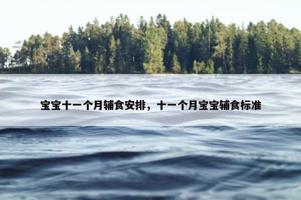 宝宝十一个月辅食安排，十一个月宝宝辅食标准