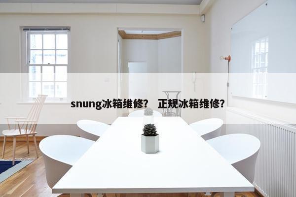 snung冰箱维修? 正规冰箱维修? snung冰箱维修? 正规冰箱维修?
