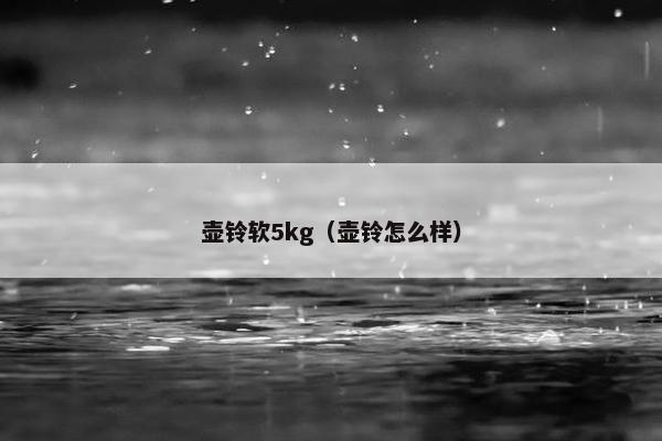 壶铃软5kg（壶铃怎么样）