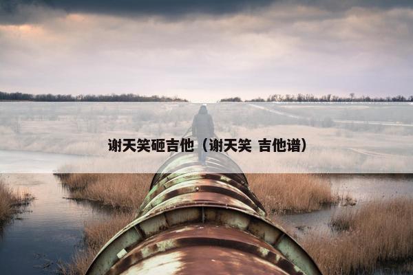 谢天笑砸吉他（谢天笑 吉他谱）