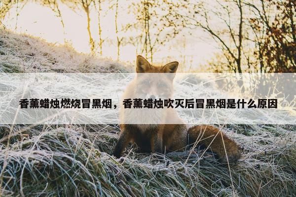 香薰蜡烛燃烧冒黑烟，香薰蜡烛吹灭后冒黑烟是什么原因