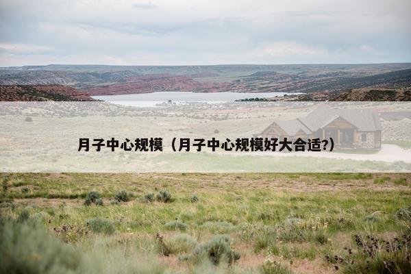 月子中心规模（月子中心规模好大合适?）
