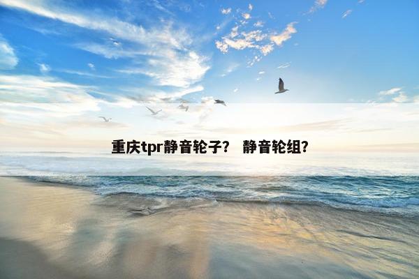 重庆tpr静音轮子? 静音轮组? 重庆tpr静音轮子? 静音轮组?