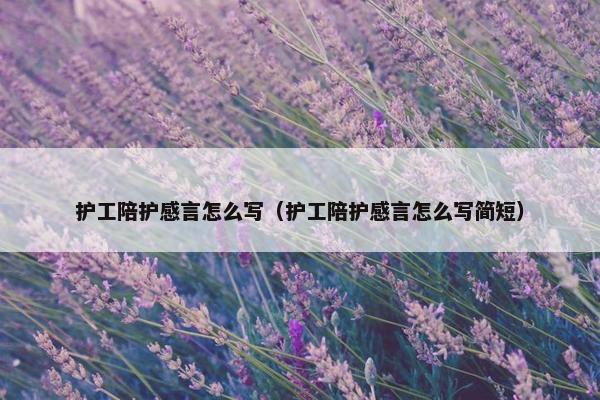 护工陪护感言怎么写（护工陪护感言怎么写简短）