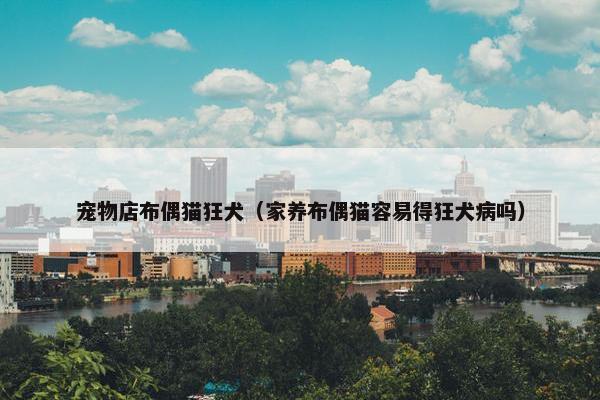 宠物店布偶猫狂犬(家养布偶猫容易得狂犬病吗) 宠物店布偶猫狂犬(家养布偶猫容易得狂犬病吗)