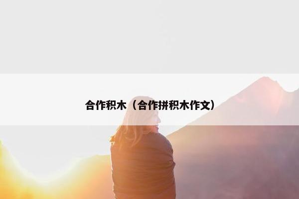 合作积木（合作拼积木作文）