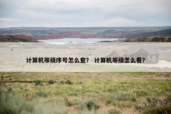 计算机等级序号怎么查? 计算机等级怎么看? 计算机等级序号怎么查? 计算机等级怎么看?