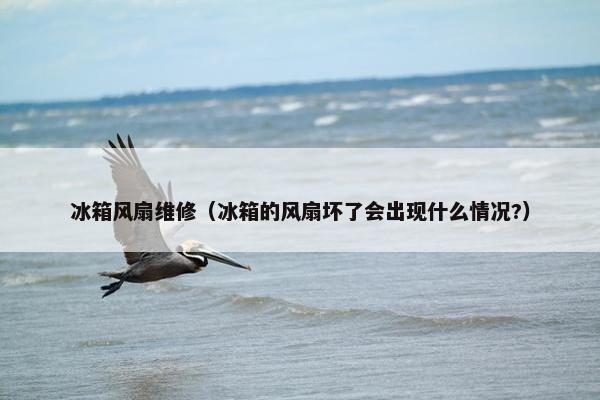 冰箱风扇维修（冰箱的风扇坏了会出现什么情况?）