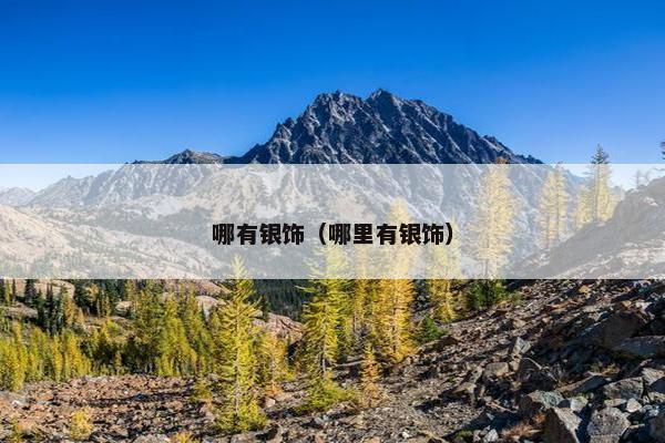 哪有银饰(哪里有银饰) 哪有银饰(哪里有银饰)