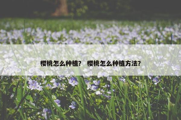 樱桃怎么种植？ 樱桃怎么种植方法？