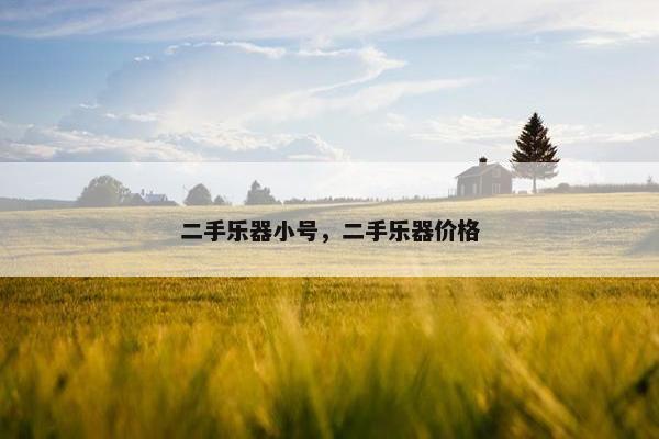 二手乐器小号，二手乐器价格