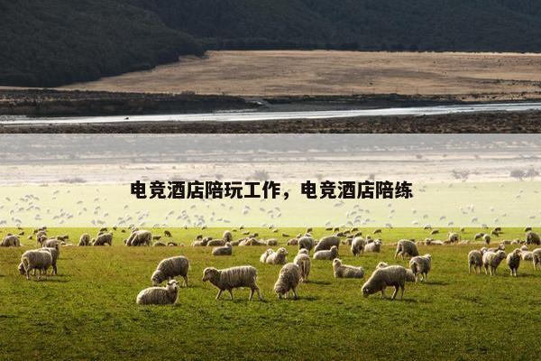 电竞酒店陪玩工作，电竞酒店陪练