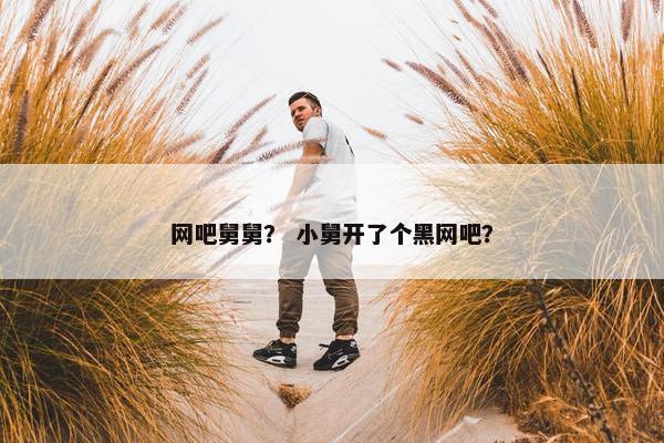 网吧舅舅？ 小舅开了个黑网吧？