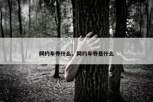 网约车券什么，网约车券是什么