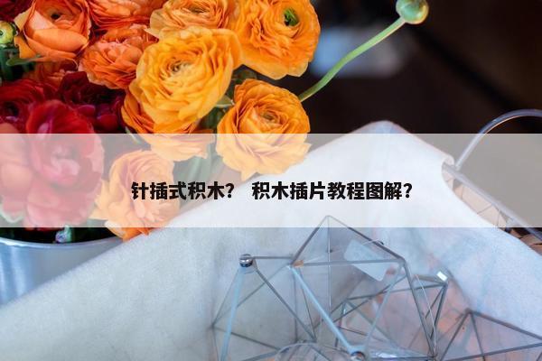 针插式积木？ 积木插片教程图解？