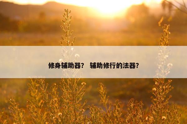 修身辅助器？ 辅助修行的法器？