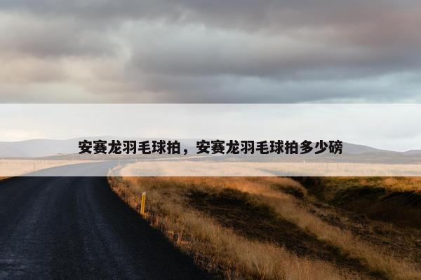 安赛龙羽毛球拍，安赛龙羽毛球拍多少磅