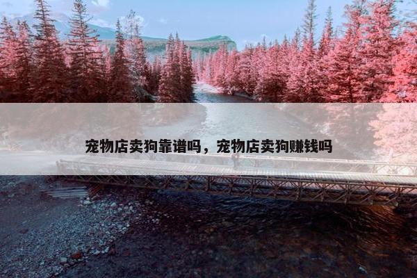 宠物店卖狗靠谱吗，宠物店卖狗赚钱吗