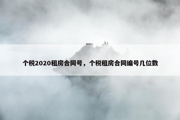 个税2020租房合同号，个税租房合同编号几位数