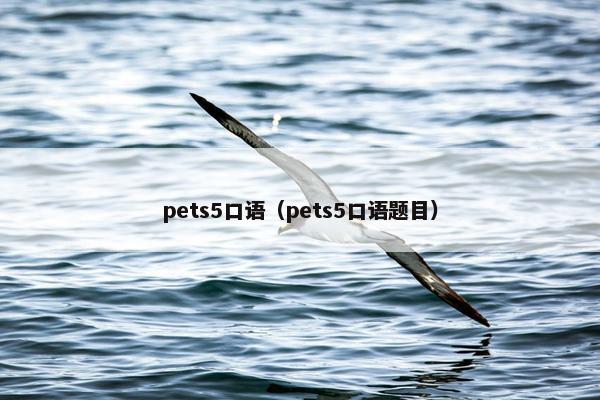 pets5口语(pets5口语题目) pets5口语(pets5口语题目)