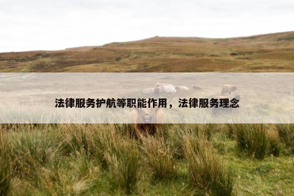 法律服务护航等职能作用，法律服务理念