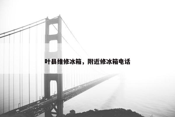 叶县维修冰箱，附近修冰箱电话