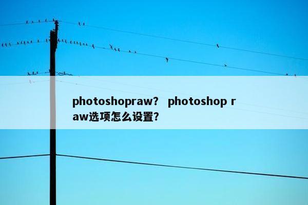 photoshopraw？ photoshop raw选项怎么设置？