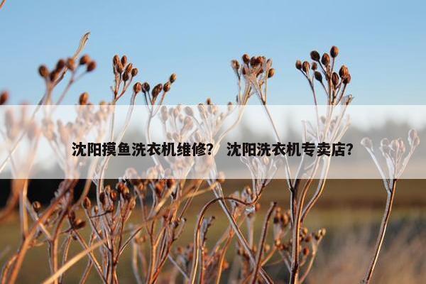 沈阳摸鱼洗衣机维修？ 沈阳洗衣机专卖店？