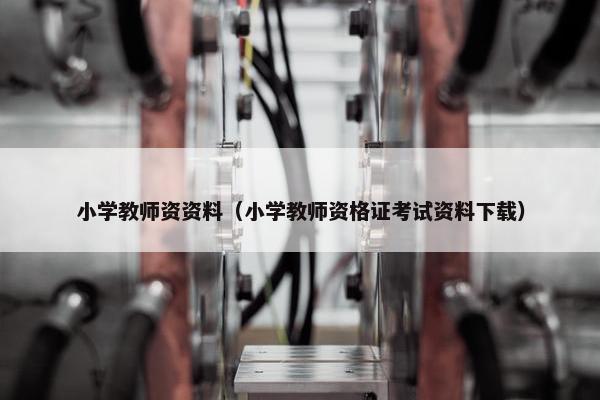 小学教师资资料（小学教师资格证考试资料下载）