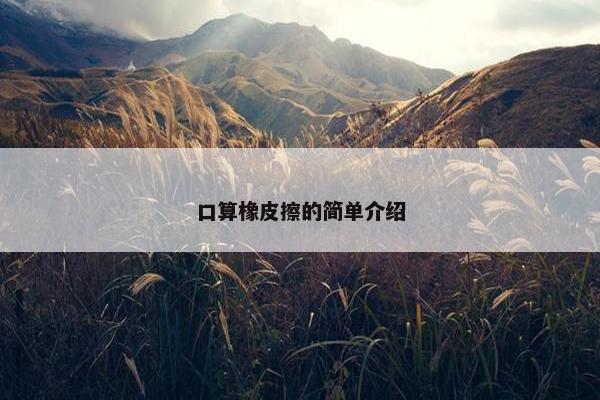 口算橡皮擦的简单介绍