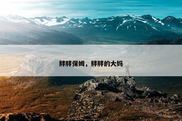 胖胖保姆，胖胖的大妈