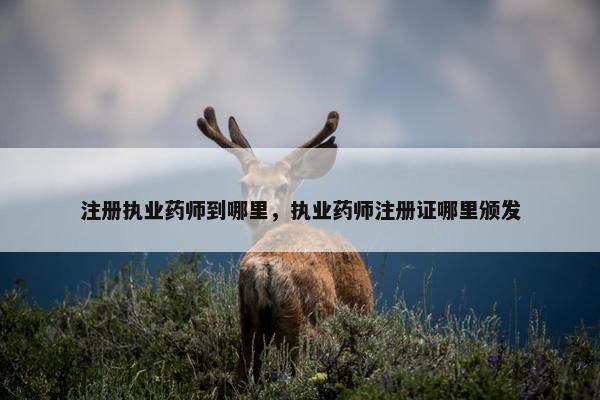 注册执业药师到哪里，执业药师注册证哪里颁发