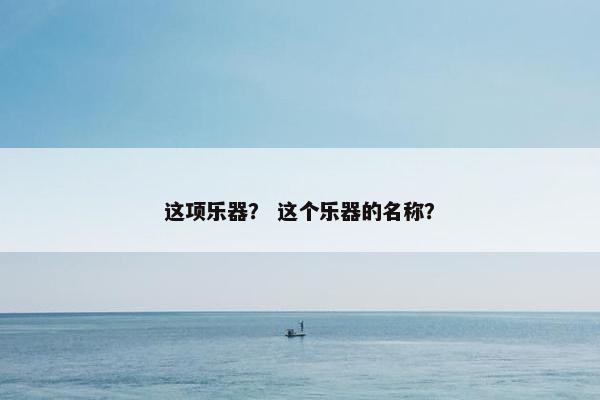 这项乐器？ 这个乐器的名称？