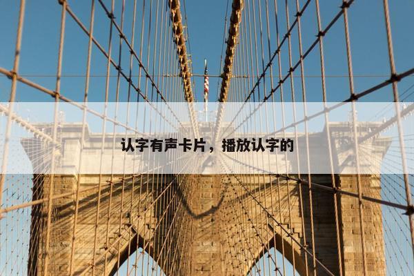 认字有声卡片，播放认字的
