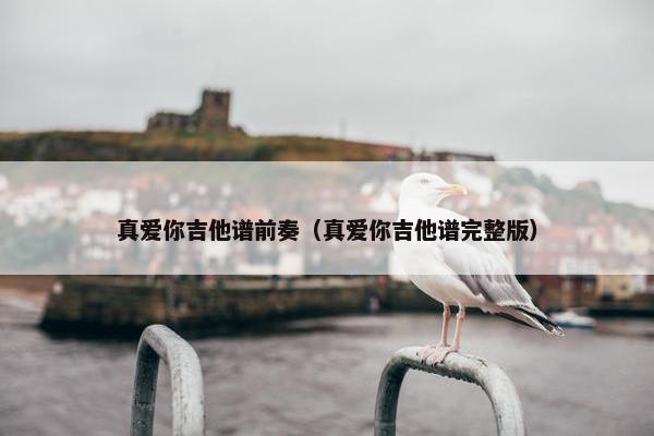 真爱你吉他谱前奏（真爱你吉他谱完整版）