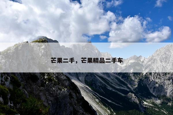 芒果二手，芒果精品二手车