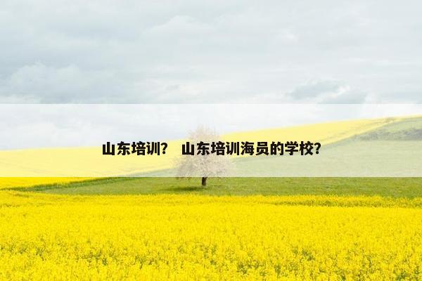 山东培训? 山东培训海员的学校? 山东培训? 山东培训海员的学校?