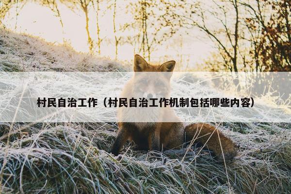 村民自治工作（村民自治工作机制包括哪些内容）