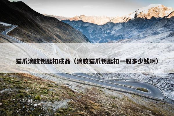 猫爪滴胶钥匙扣成品(滴胶猫爪钥匙扣一般多少钱啊) 猫爪滴胶钥匙扣成品(滴胶猫爪钥匙扣一般多少钱啊)