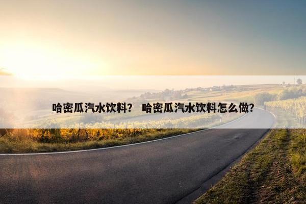 哈密瓜汽水饮料？ 哈密瓜汽水饮料怎么做？