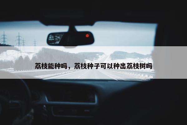 荔枝能种吗，荔枝种子可以种出荔枝树吗