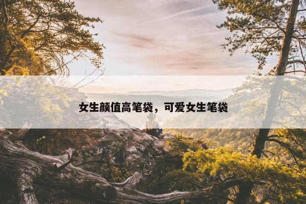 女生颜值高笔袋，可爱女生笔袋