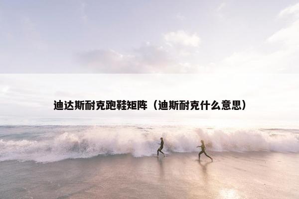 迪达斯耐克跑鞋矩阵（迪斯耐克什么意思）