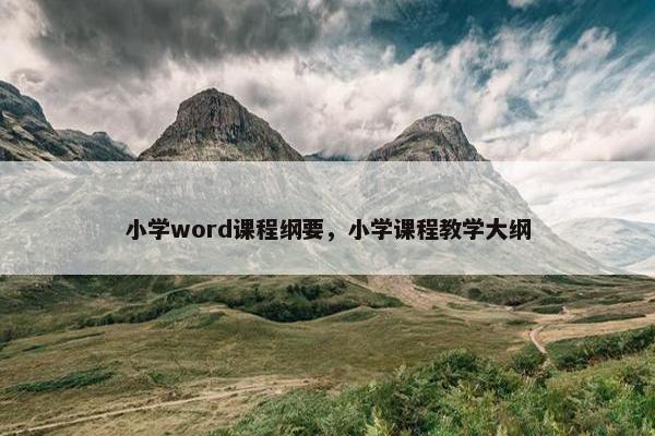 小学word课程纲要，小学课程教学大纲
