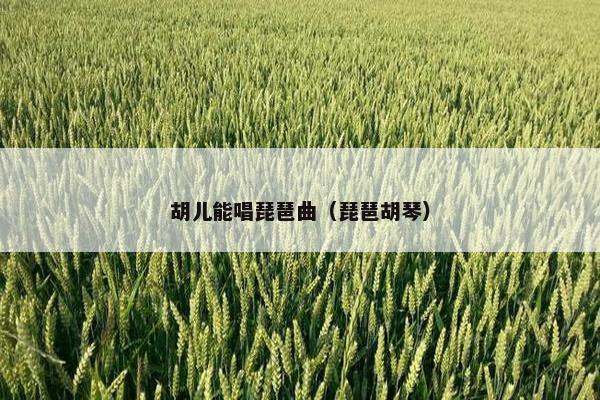 胡儿能唱琵琶曲（琵琶胡琴）