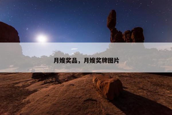 月嫂奖品,月嫂奖牌图片 月嫂奖品,月嫂奖牌图片