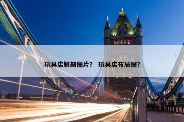 玩具店解剖图片? 玩具店布局图? 玩具店解剖图片? 玩具店布局图?