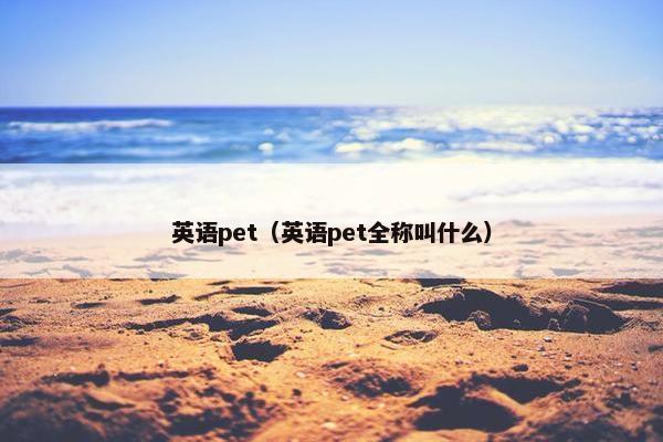 英语pet（英语pet全称叫什么）